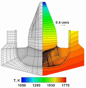 Modeling of SiC Growth