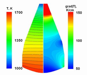 Modeling of SiC Growth