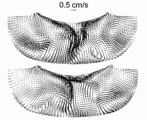 Modeling of SiC Growth