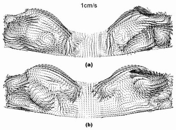 Modeling of GaAs Growth